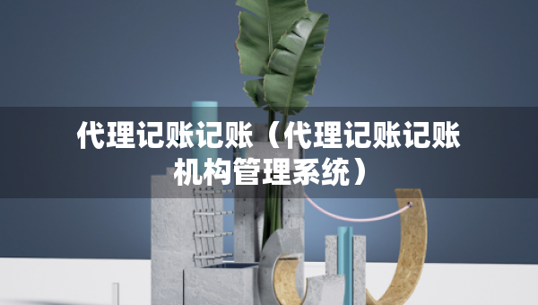代理記賬記賬（代理記賬記賬機(jī)構(gòu)管理系統(tǒng)）