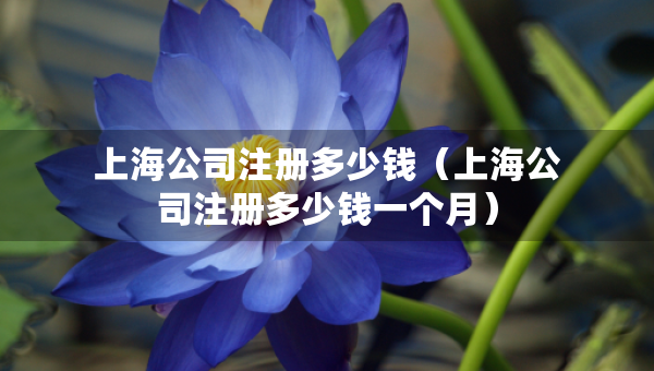 上海公司注冊(cè)多少錢（上海公司注冊(cè)多少錢一個(gè)月）