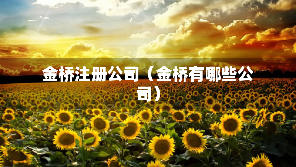 金橋注冊公司（金橋有哪些公司）