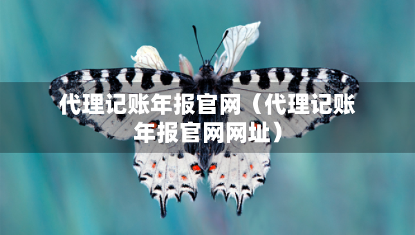 代理記賬年報官網(wǎng)（代理記賬年報官網(wǎng)網(wǎng)址）