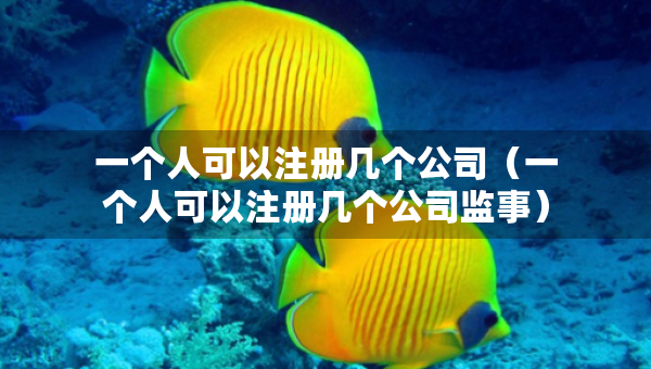 一個(gè)人可以注冊(cè)幾個(gè)公司（一個(gè)人可以注冊(cè)幾個(gè)公司監(jiān)事）
