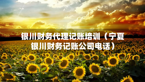 銀川財務代理記賬培訓（寧夏銀川財務記賬公司電話）