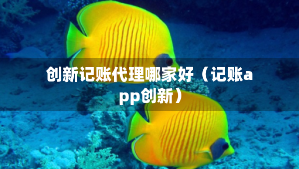 創(chuàng)新記賬代理哪家好（記賬app創(chuàng)新）