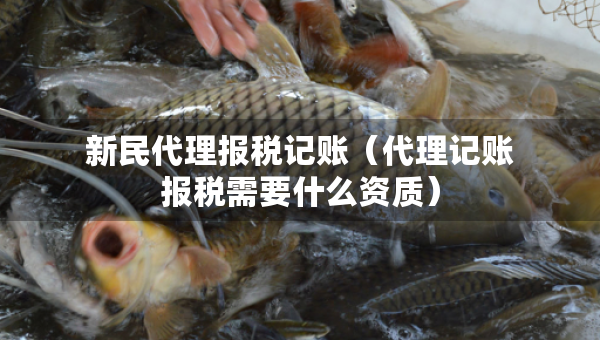 新民代理報稅記賬（代理記賬報稅需要什么資質(zhì)）