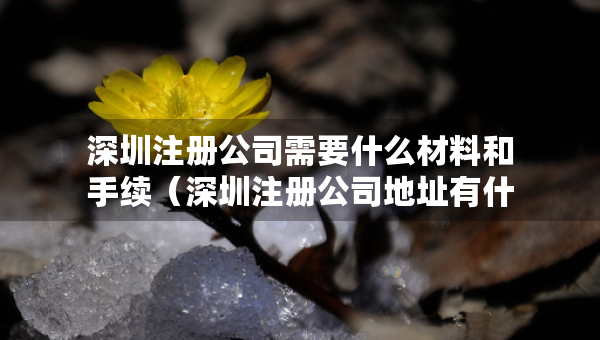 深圳注冊公司需要什么材料和手續(xù)（深圳注冊公司地址有什么要求）