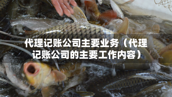 代理記賬公司主要業(yè)務(wù)（代理記賬公司的主要工作內(nèi)容）