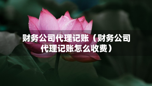 財(cái)務(wù)公司代理記賬（財(cái)務(wù)公司代理記賬怎么收費(fèi)）