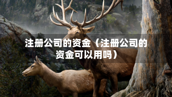 注冊公司的資金（注冊公司的資金可以用嗎）
