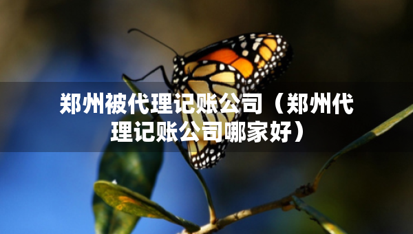 鄭州被代理記賬公司（鄭州代理記賬公司哪家好）