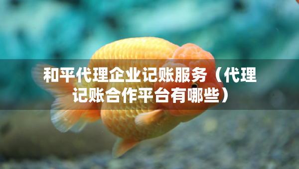 和平代理企業(yè)記賬服務(wù)（代理記賬合作平臺(tái)有哪些）