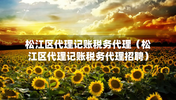 松江區(qū)代理記賬稅務(wù)代理（松江區(qū)代理記賬稅務(wù)代理招聘）