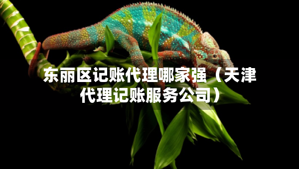 東麗區(qū)記賬代理哪家強(qiáng)（天津代理記賬服務(wù)公司）