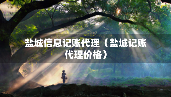 鹽城信息記賬代理（鹽城記賬代理價(jià)格）