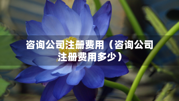 咨詢公司注冊費用（咨詢公司注冊費用多少）