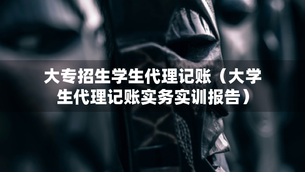 大專招生學(xué)生代理記賬（大學(xué)生代理記賬實務(wù)實訓(xùn)報告）