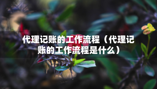 代理記賬的工作流程（代理記賬的工作流程是什么）
