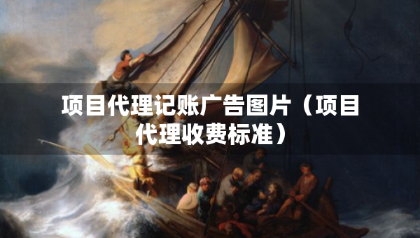 項目代理記賬廣告圖片（項目代理收費標(biāo)準(zhǔn)）