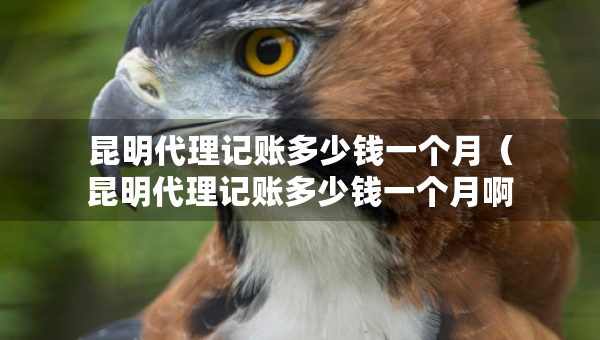 昆明代理記賬多少錢一個月（昆明代理記賬多少錢一個月?。? title=