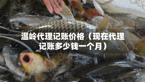 溫嶺代理記賬價格（現(xiàn)在代理記賬多少錢一個月）