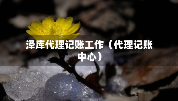 澤庫代理記賬工作（代理記賬中心）