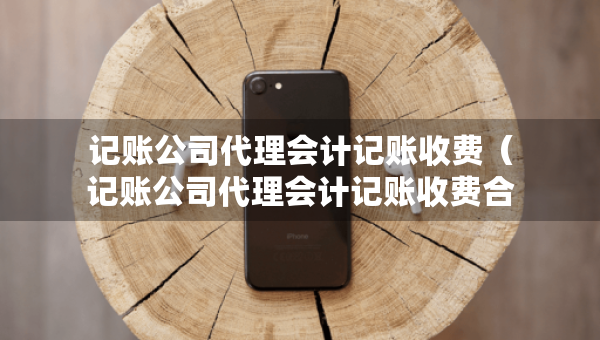 記賬公司代理會計記賬收費（記賬公司代理會計記賬收費合法嗎）