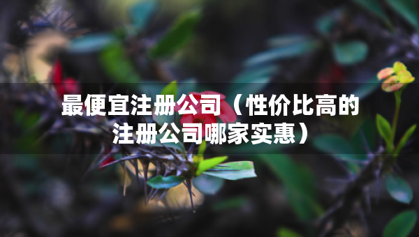 最便宜注冊公司（性價比高的注冊公司哪家實惠）
