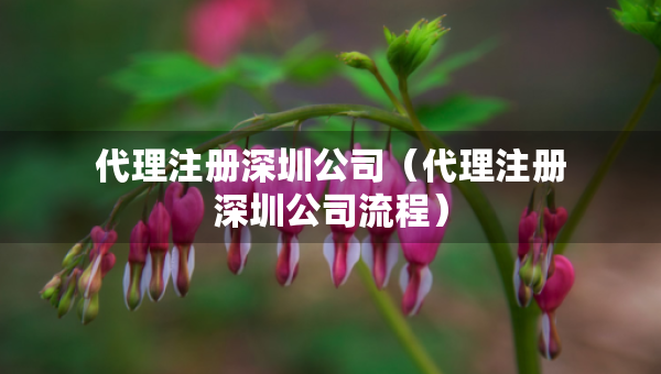 代理注冊深圳公司（代理注冊深圳公司流程）