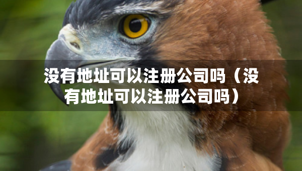 沒有地址可以注冊(cè)公司嗎（沒有地址可以注冊(cè)公司嗎）