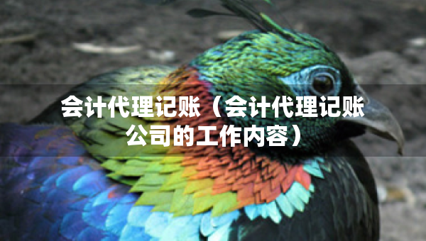 會計代理記賬（會計代理記賬公司的工作內(nèi)容）