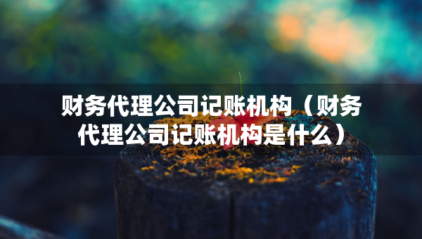 財務代理公司記賬機構(gòu)（財務代理公司記賬機構(gòu)是什么）