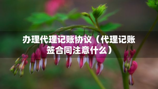 辦理代理記賬協(xié)議（代理記賬簽合同注意什么）