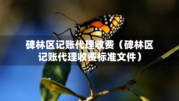 碑林區(qū)記賬代理收費（碑林區(qū)記賬代理收費標(biāo)準(zhǔn)文件）