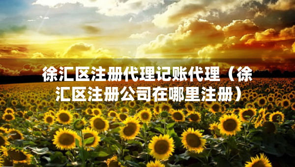 徐匯區(qū)注冊代理記賬代理（徐匯區(qū)注冊公司在哪里注冊）