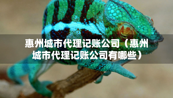 惠州城市代理記賬公司（惠州城市代理記賬公司有哪些）