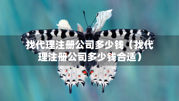 找代理注冊公司多少錢（找代理注冊公司多少錢合適）