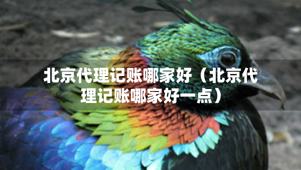 北京代理記賬哪家好（北京代理記賬哪家好一點(diǎn)）