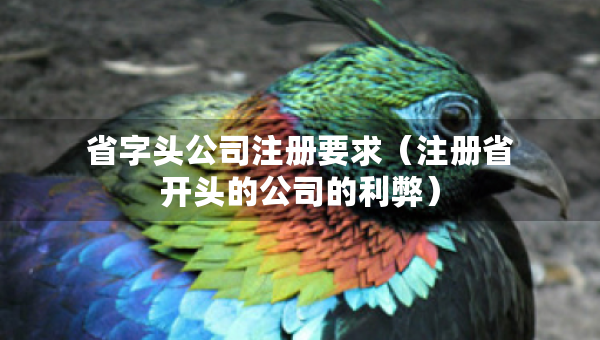 省字頭公司注冊(cè)要求（注冊(cè)省開頭的公司的利弊）