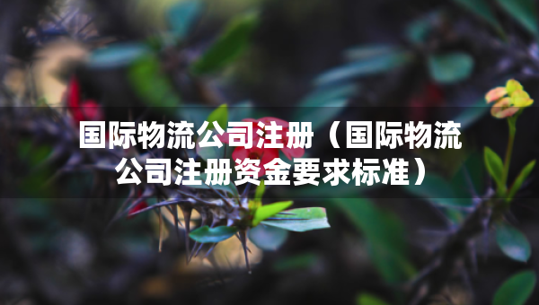 國際物流公司注冊（國際物流公司注冊資金要求標(biāo)準(zhǔn)）