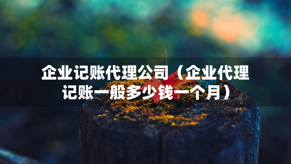 企業(yè)記賬代理公司（企業(yè)代理記賬一般多少錢一個月）
