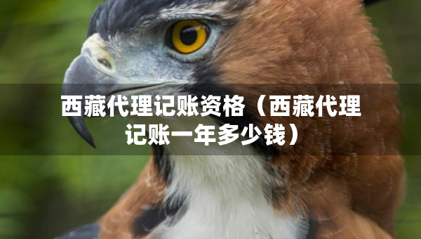 西藏代理記賬資格（西藏代理記賬一年多少錢）