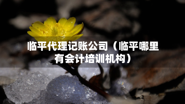 臨平代理記賬公司（臨平哪里有會計培訓機構(gòu)）