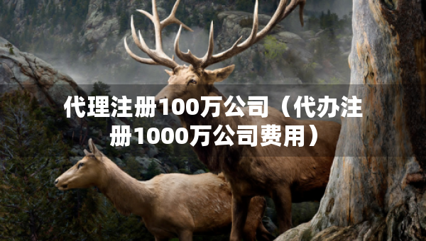 代理注冊(cè)100萬(wàn)公司（代辦注冊(cè)1000萬(wàn)公司費(fèi)用）