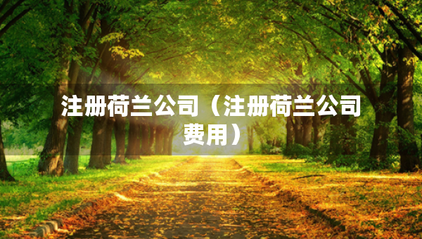 注冊荷蘭公司（注冊荷蘭公司費用）