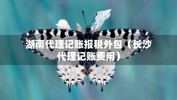 湖南代理記賬報稅外包（長沙代理記賬費用）
