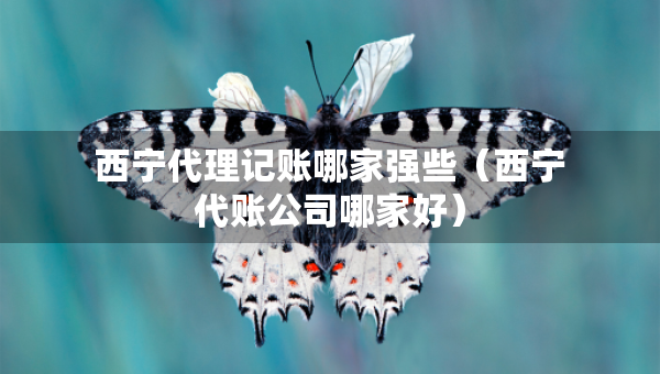 西寧代理記賬哪家強(qiáng)些（西寧代賬公司哪家好）