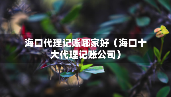 海口代理記賬哪家好（?？谑蟠碛涃~公司）