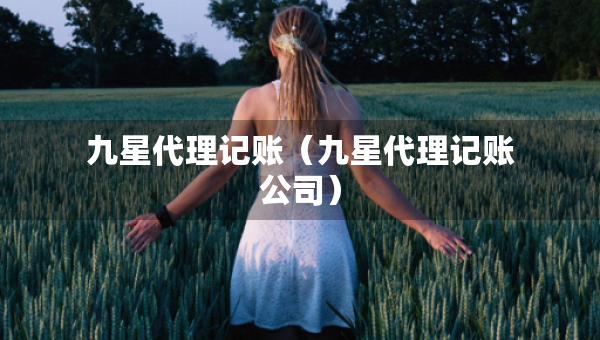 九星代理記賬（九星代理記賬公司）