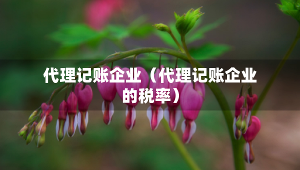 代理記賬企業(yè)（代理記賬企業(yè)的稅率）