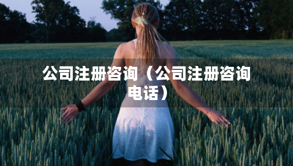 公司注冊(cè)咨詢(xún)（公司注冊(cè)咨詢(xún)電話）