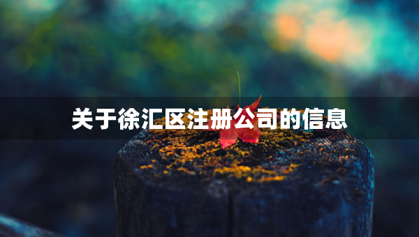 關(guān)于徐匯區(qū)注冊(cè)公司的信息